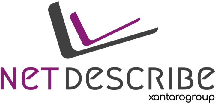 netdescribe logo